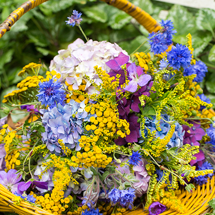 Een prachtig landelijk boeket met floxen, duizendknoop en siergrassen.